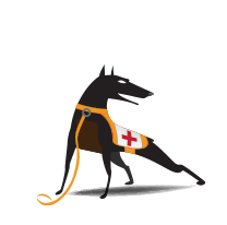 CommScope SZ144/vSZ AP Mgmt License, includes Partner Watchdog Support for AP 1yr, includes RUCKUS Analytics Subscription 1yr.