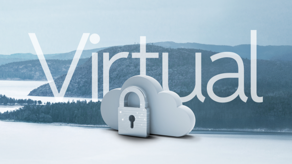 Clavister NetEye 500V Premium Services, Yearly