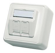 Telegärtner Modulträger,AP-Dose,f. 2xAMJ/AMJ-S-Mod./Kupp.,AW, 80x80, 30Grad, (Keystone)