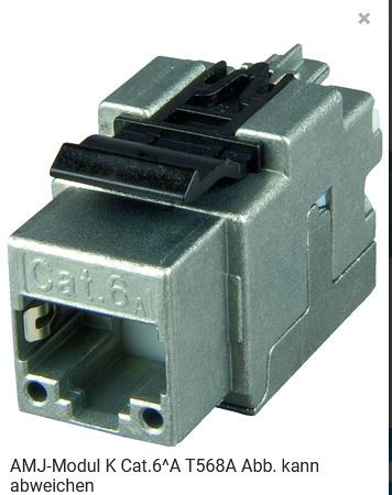 Telegärtner Modul, AMJ, CAT6A, TP/LSA, Snap-In, 2-Pack, T568A, (Keystone)