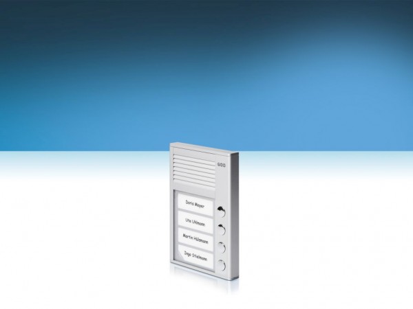 Auerswald TFE / TFS-Dialog 213